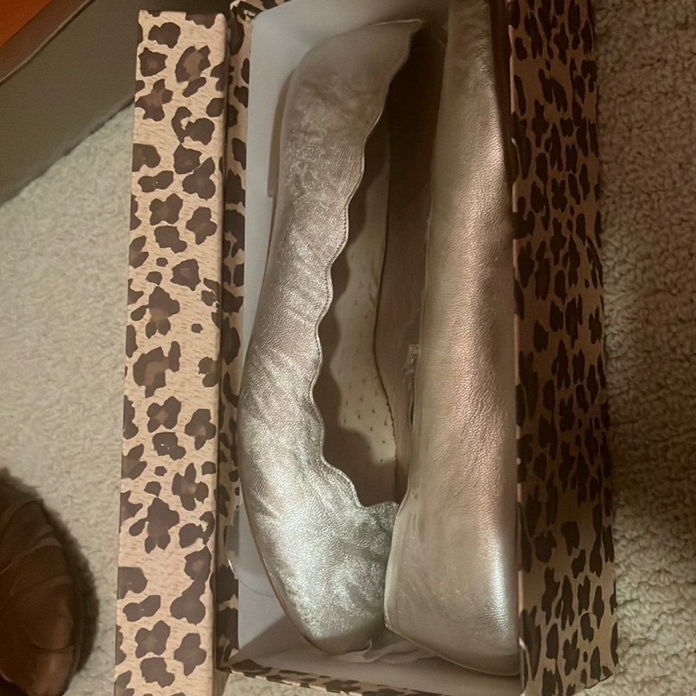 “Hu/sf” silver flats